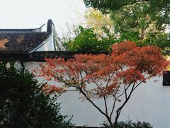 -上海醉白池公园