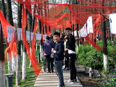 -圩墩遗址公园