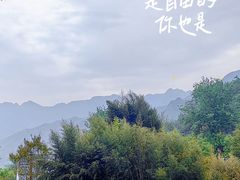 -盛世牡丹苑生态文化旅游区