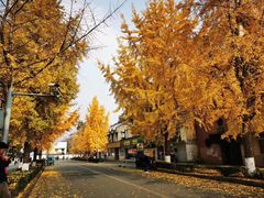 -四川大学(望江校区)