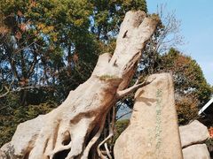 -宝岩生态观光园