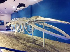 -福州罗源湾海洋世界旅游区