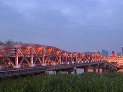 -武汉知音号