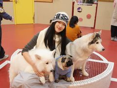 -和它·交个朋友·狗咖猫咖(爱琴海店)