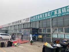 -朝来春花卉市场
