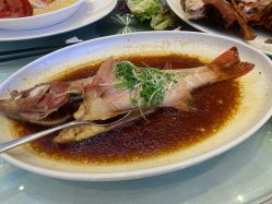 -上海雅居乐万豪侯爵酒店·宴会厅