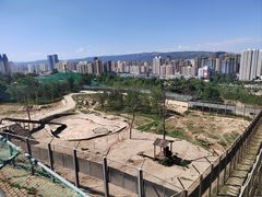 -青藏高原野生动物园