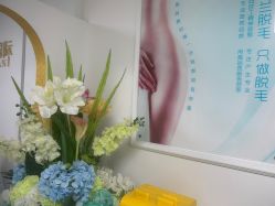 -薇兰专业脱毛连锁机构