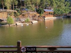 -泉州海丝野生动物世界