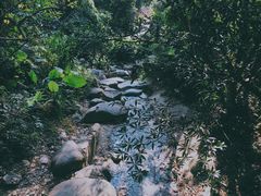 -火炉山森林公园