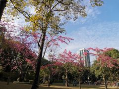 -晓港公园