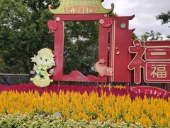 -金鸡山公园