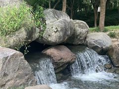 -新洲生态园