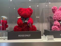 -ROSEONLY诺誓(广州K11店)