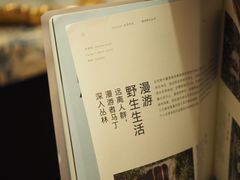 -LuluCake·路鹿蛋糕