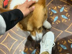 -熊叔熊婶面包房(团结湖店)