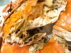 -北塘海鲜·天津菜·鲅鱼水饺是一绝(大光明桥旗舰店)
