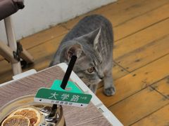 -长颈鹿咖啡(大学路店)