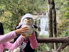 -海南热带雨林国家公园吊罗山景区