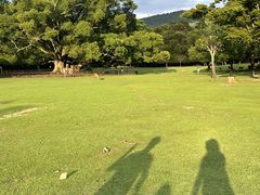 -奈良公园