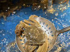 -亚马逊蒸汽活海鲜自助(LCM置汇旭辉广场店)