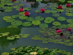 -国家植物园南园