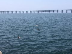 -星海湾跨海大桥