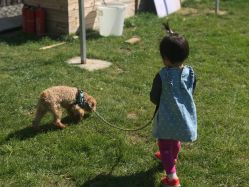 -萌宠亲子动物乐园(槐房万达店)