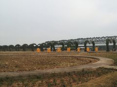 -迪茵湖田家舍生态农场