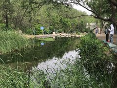 -白水寺森林公园