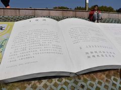 -观潮胜地公园