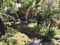 -Chom Cafe and Restaurant