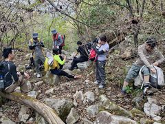 -罗田天堂寨风景区
