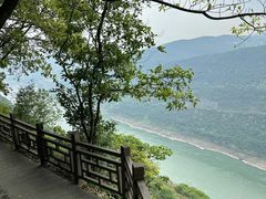 -铁山坪森林公园