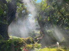 -Chom Cafe and Restaurant