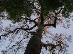 -云栖竹径