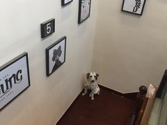 -多卡布奇宠物生活馆(上林世家店)