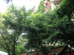 -蜀厨蓉匠(广福店)