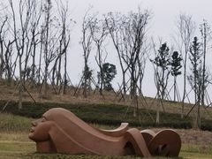 -白鹭湾湿地公园