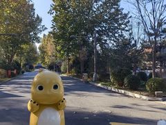 -南宫五洲植物乐园