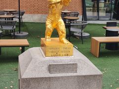 -西安电影制片厂