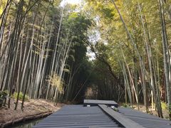 -同里国家湿地公园