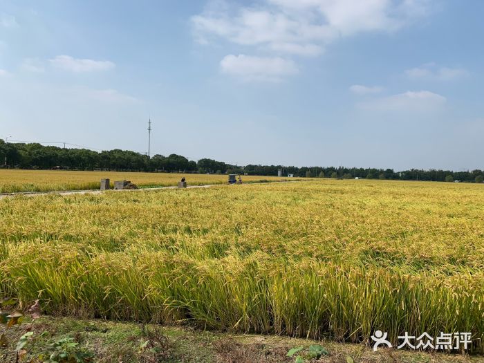 乐田家庭农场图片