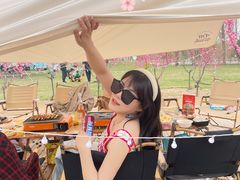 -TIPPI营地 房车主题·露营烧烤团建轰趴(天安假日店)