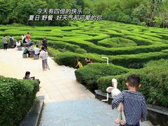 -大屏嶂森林公园