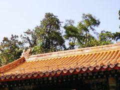 -潭柘寺景区