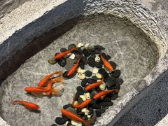 -汤家茗苑·精致私房菜(白沙店)