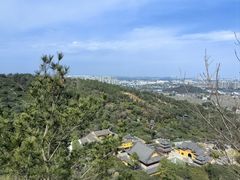 -树山生态村