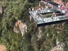 -梦幻奥陶纪景区