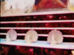 -郑州银基黄帝宫御温泉